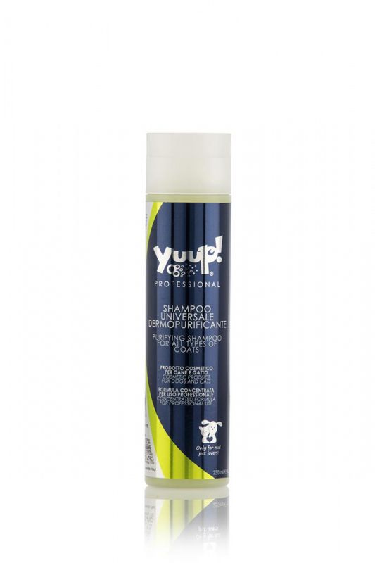 Yuup!  Pro Purifying shampoo 250ML